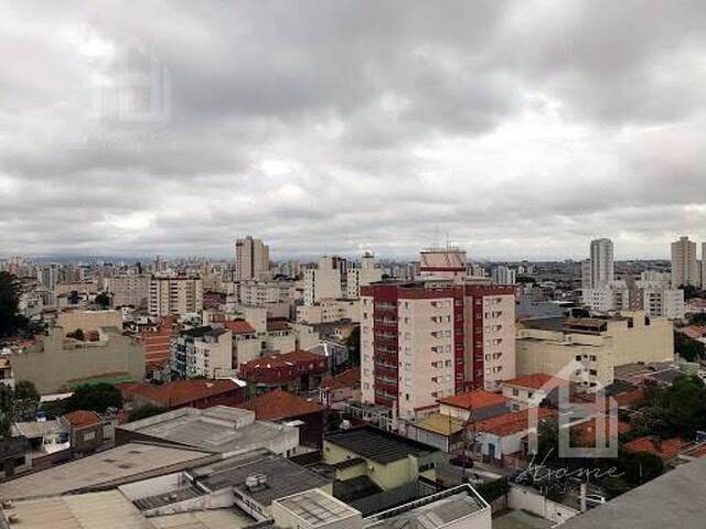 Cobertura para Locação em São Caetano do Sul - 5