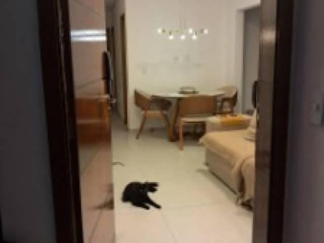 Apartamento para Venda em São Caetano do Sul - 5