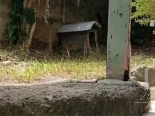 Terreno para Venda em Santo André - 5