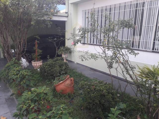 Casa para Venda em São Caetano do Sul - 5
