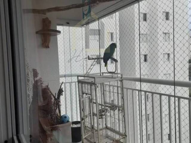 Apartamento para Venda em São Caetano do Sul - 5